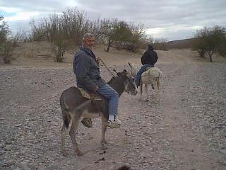 Click for a Closer View of the Burro (and me)