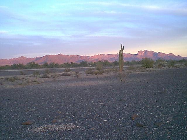 Click to read the Travel Log "Quartzsite" Chapters